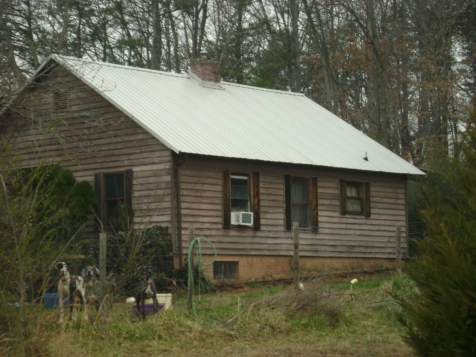 White metal roof on an old wood sided farmhouse, from a Asphalt Shingle Roof Repair job in Gold Beach